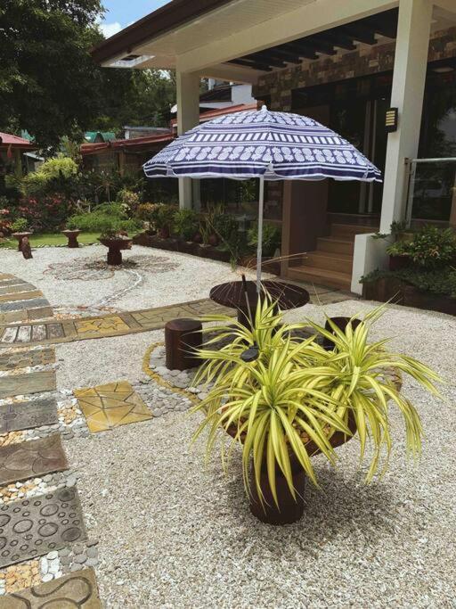 Beach Getaway Studio Villa In Lobo エクステリア 写真