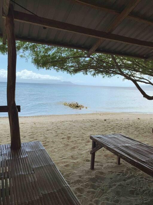 Beach Getaway Studio Villa In Lobo エクステリア 写真